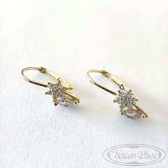 Arany fülbevaló kislány 